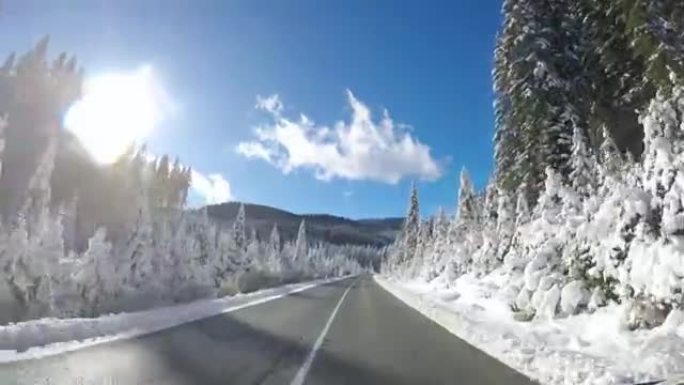 冬天沿着森林在空旷的道路上行驶