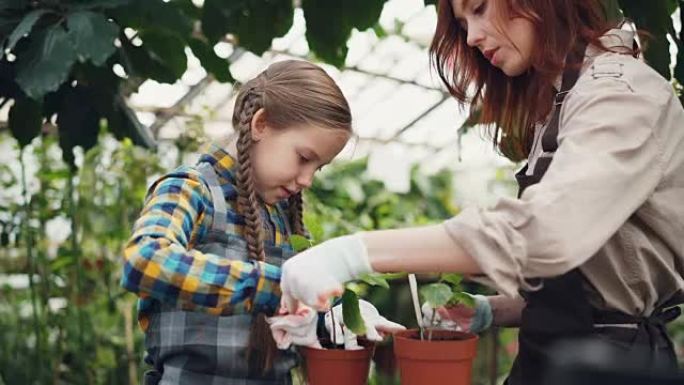 有爱心的母亲专业园丁正在教她的女儿用小铲子在花盆里挖土，并与孩子交谈。种花和幸福的家庭观念。