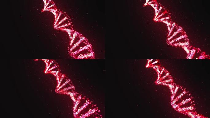 红色DNA分子结构