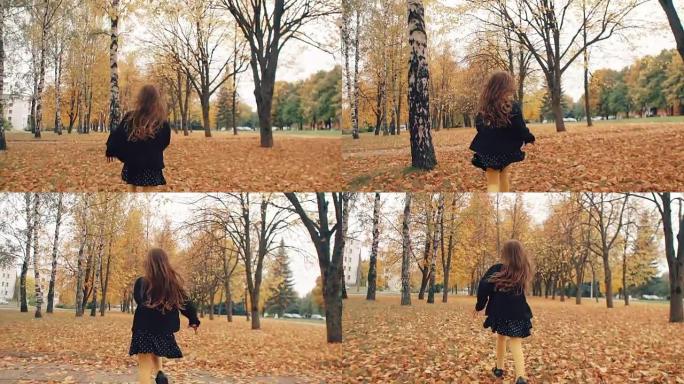 后视图快乐可爱的卷发小女孩在公园慢动作的秋天小巷中奔跑
