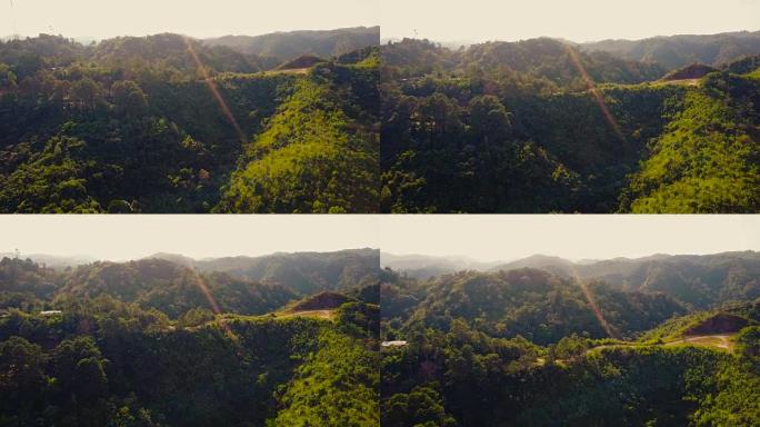 绿谷热带森林和山顶的空中拍摄。
