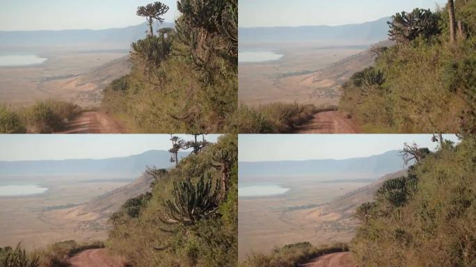 特写: 茂密的植被和尘土飞扬的道路下降到恩戈罗恩戈罗火山口