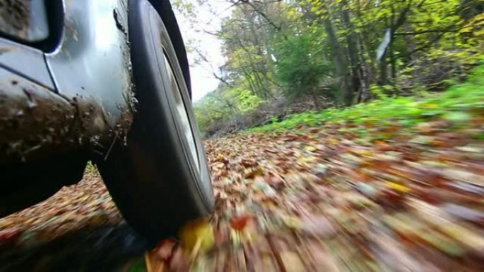 越野车在秋天的森林里行驶