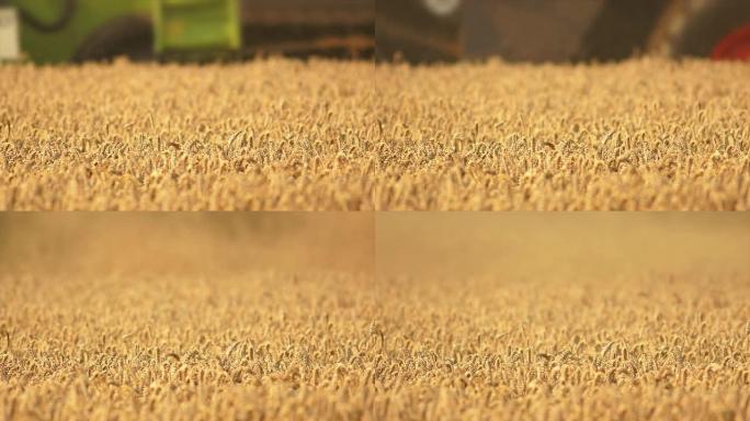 HD联合收割机收割麦田