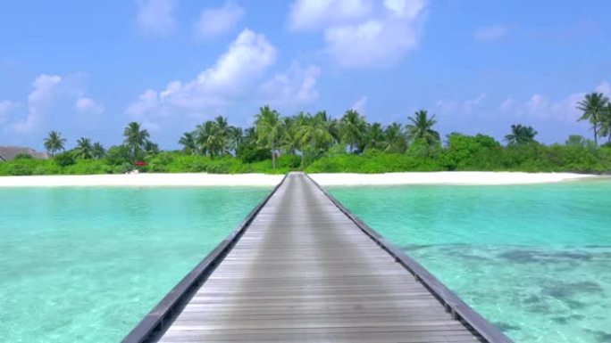 马尔代夫美丽的白色沙滩和棕榈树