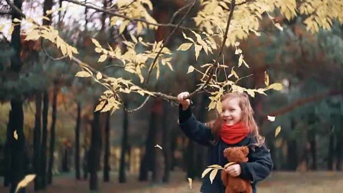 可爱，大笑，滑稽开朗的小女孩，泰迪熊摇摇树枝，黄色的秋叶从树上掉下来