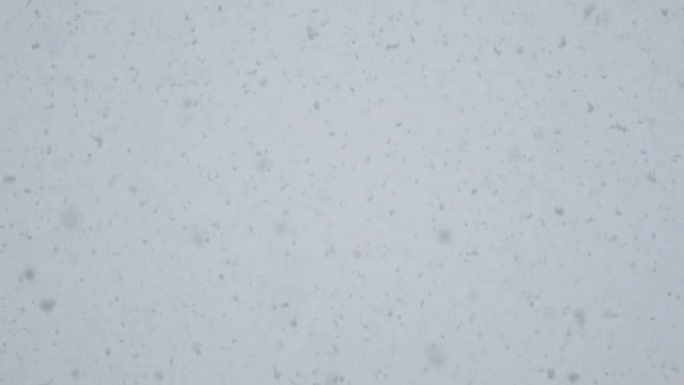 慢动作: 大雪暴雪中巨大的白色雪花从天而降