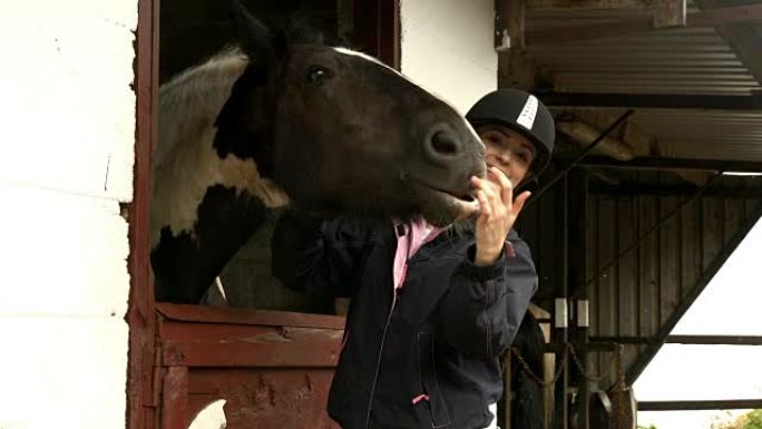 漂亮的黑发马在马stable里喂马
