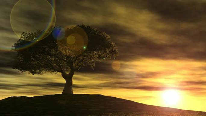 日出时的孤树