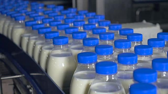 牛奶生产厂的传送带上有许多瓶牛奶