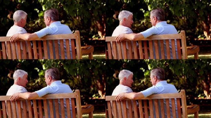 成熟的夫妇在长凳上一起讨论