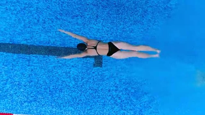 空中: 游泳池里的专业游泳运动员。