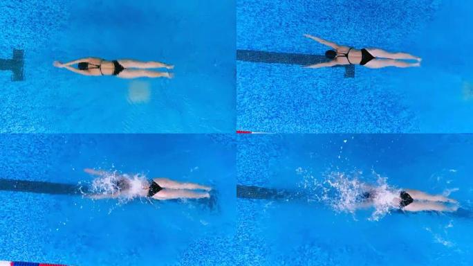 空中: 游泳池里的专业游泳运动员。