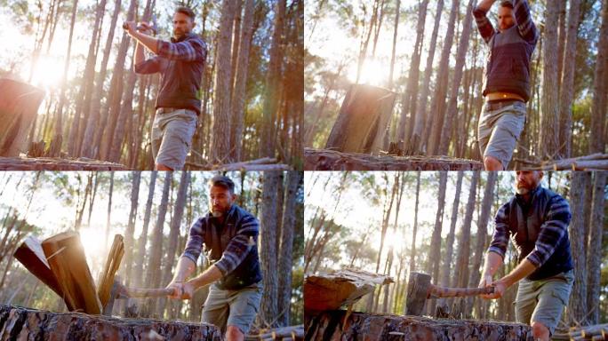 男性伐木工人在森林里用斧头砍柴4k
