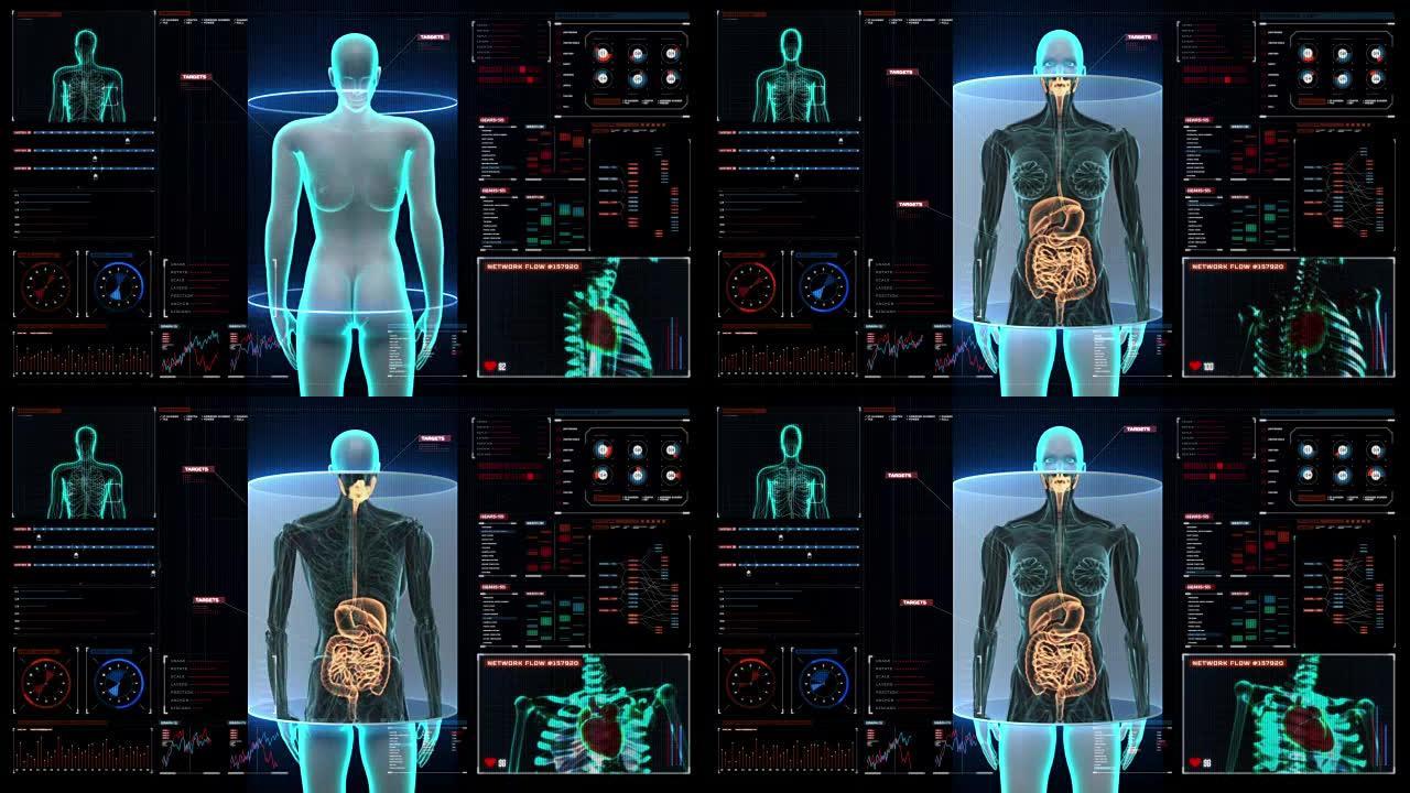 女性人体扫描内脏器官，消化数字显示。