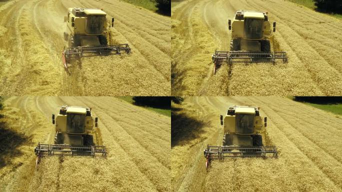 联合收割机的航拍成熟秋收小麦田现代机械化
