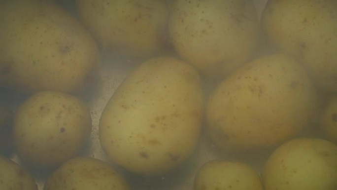 在沸水中烹饪的土豆