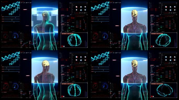 在数字显示仪表板中扫描大脑女性身体。X射线。