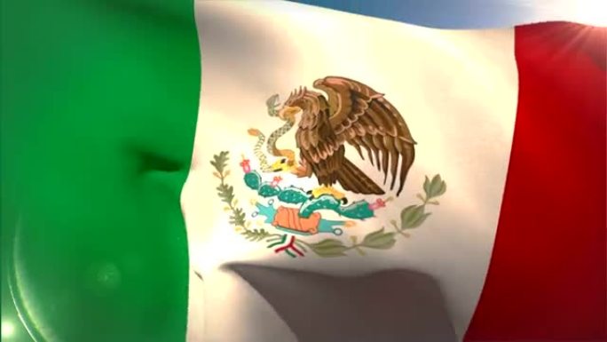 挥舞着大墨西哥国旗