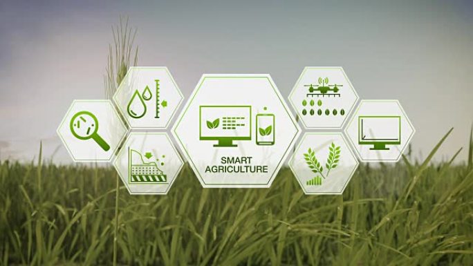 智慧农业智慧农业大麦绿田六边形信息图形图标物联网第四次工业革命。