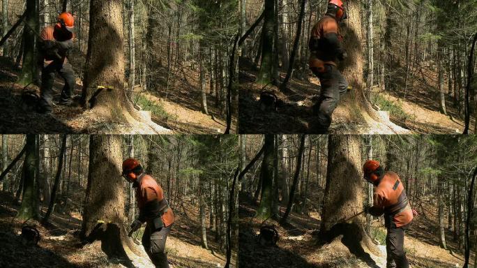 HD慢速运动：伐木工人用斧头工作