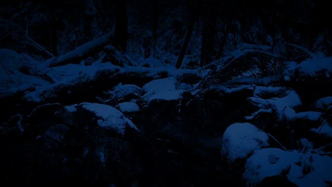 夜间降雪中路过森林河