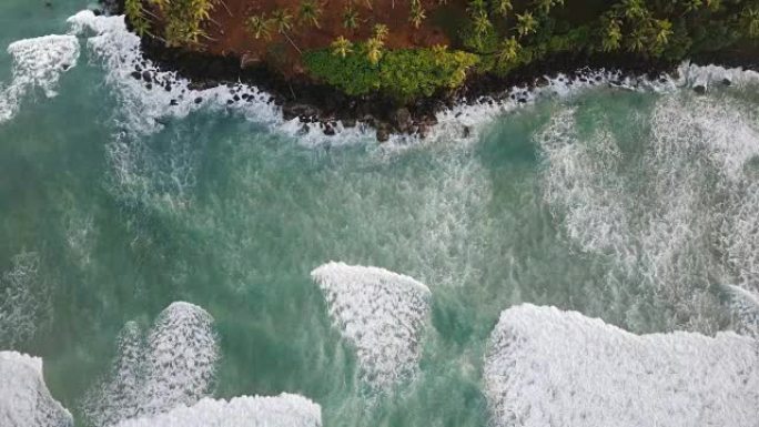 无人机俯视图锁定拍摄美丽的泡沫海浪到达风景如画的异国海岸，热带树木