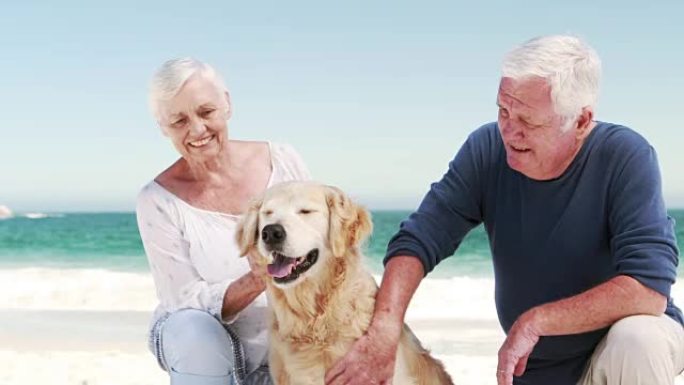 老退休夫妇带狗
