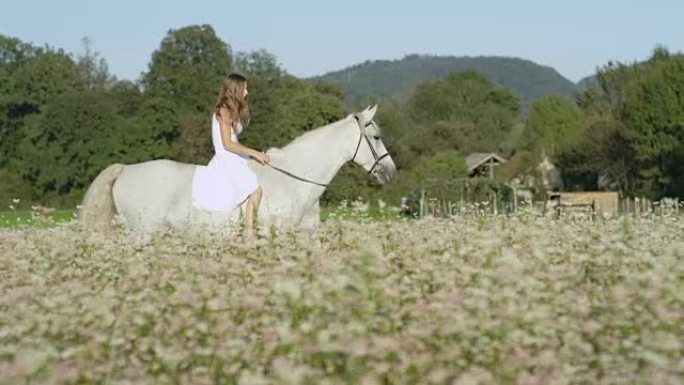 慢动作: 穿着白裙的开朗女孩在盛开的田野里骑着白马