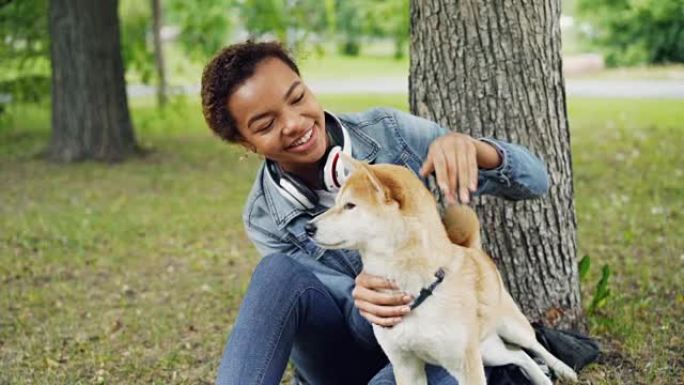 非洲裔美国女孩爱抚可爱的柴犬的慢动作坐在公园里树下的草地上，而glad狗正在舔鼻子和枪口。