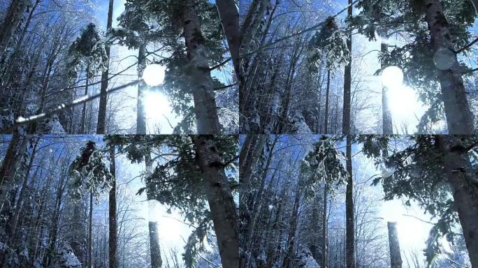 浪漫的冬季自然景观雪山树木全景