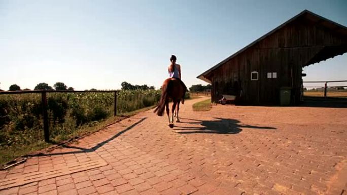 骑着马在郁郁葱葱的绿色农场上的女孩