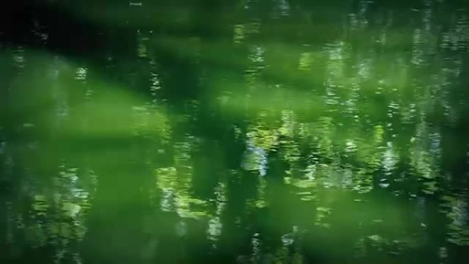 荡漾的绿色池塘