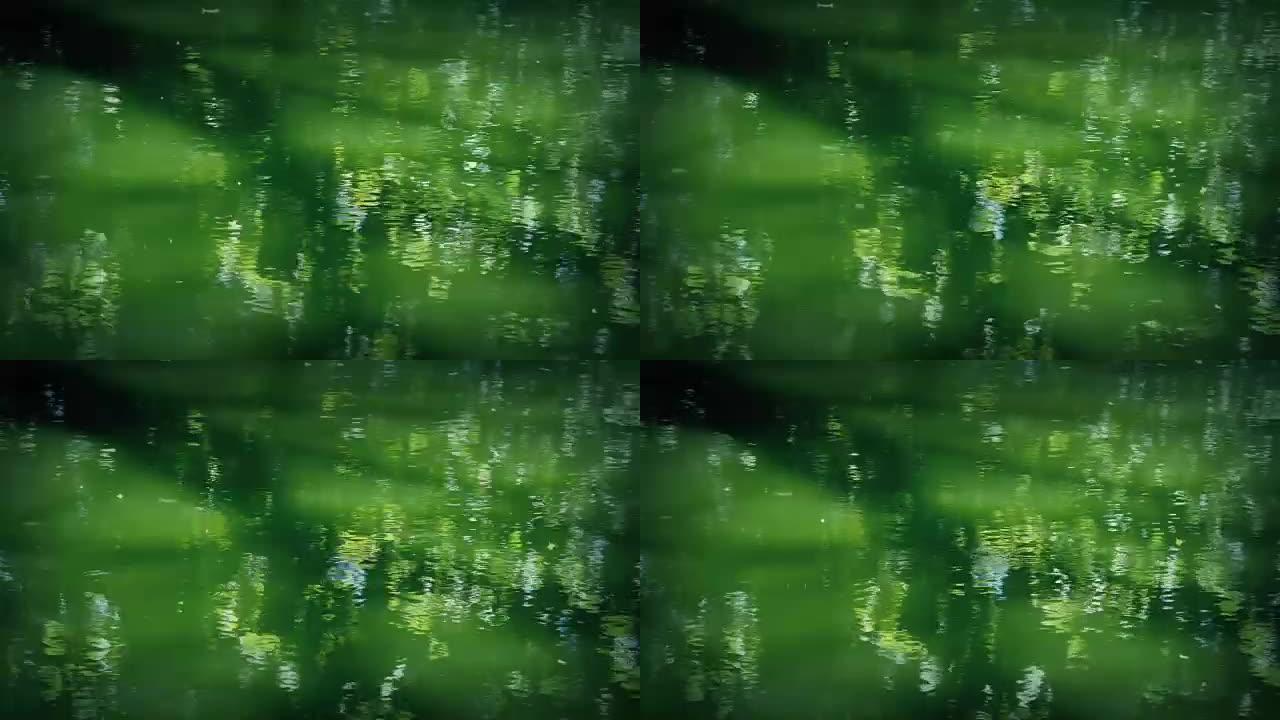 荡漾的绿色池塘