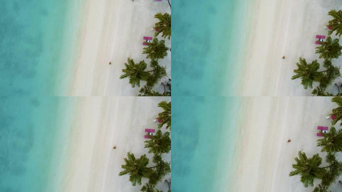 女人在海滩上漫步的俯视图。美丽的沙滩是白色的，平静的大海是海蓝宝石或绿松石。