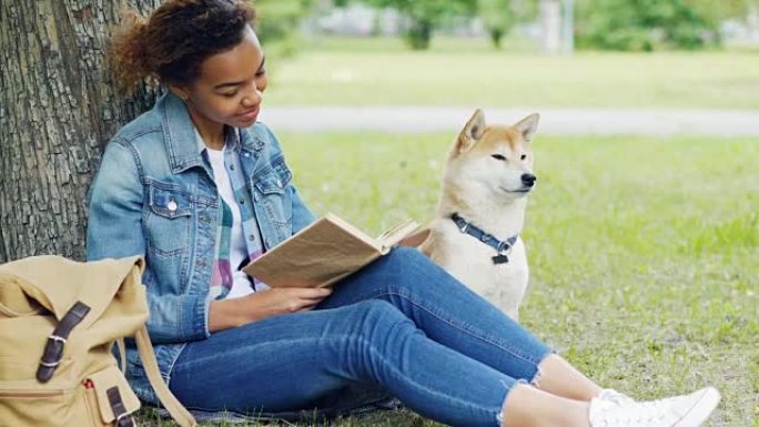 善良的混血女人在公园看书，一起抚摸她坐在树下草坪上的狗。聪明的爱好，爱抚动物和青年观念。