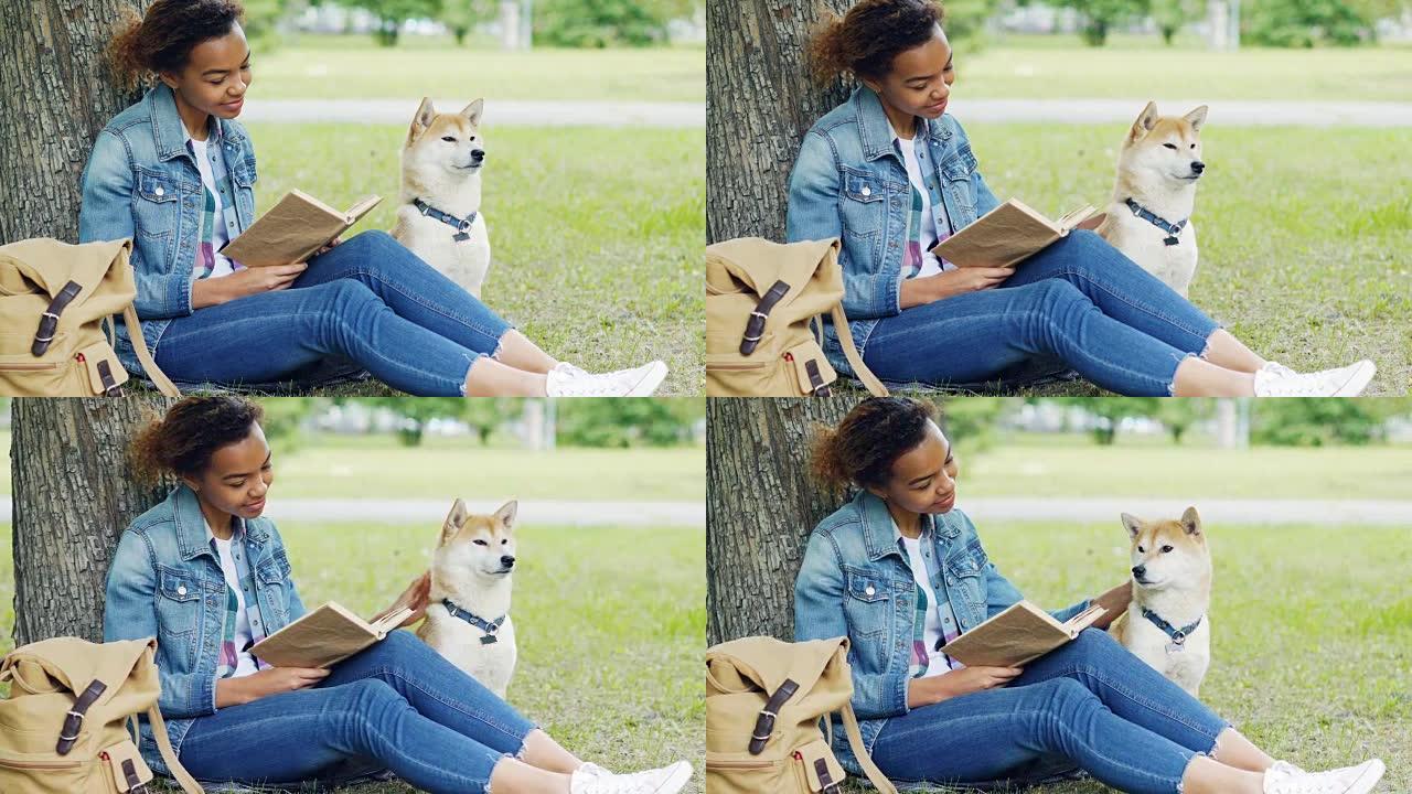 善良的混血女人在公园看书，一起抚摸她坐在树下草坪上的狗。聪明的爱好，爱抚动物和青年观念。
