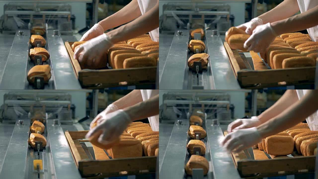 甜的饼干放在传送带上包装，右视图。