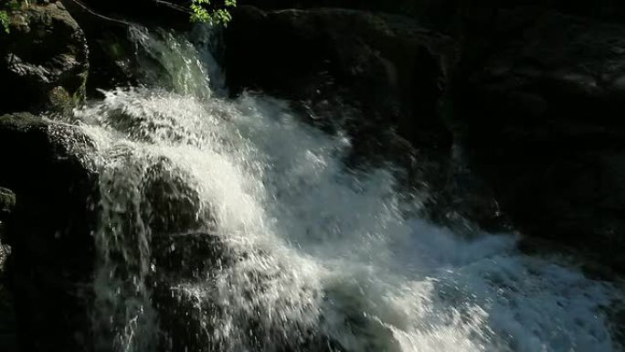 高清：森林中的瀑布