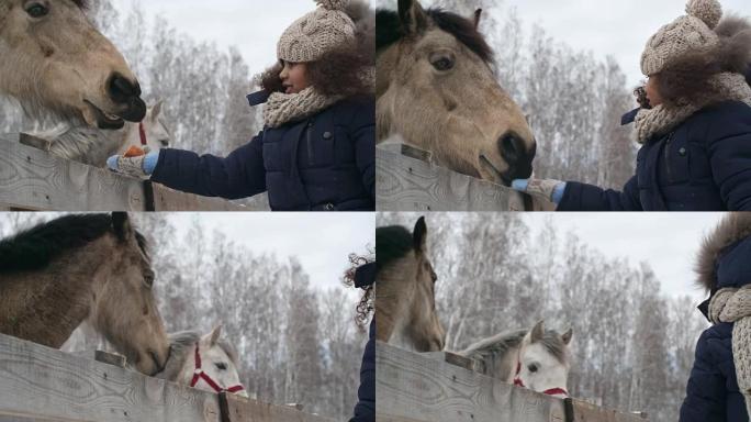 小女孩喂马