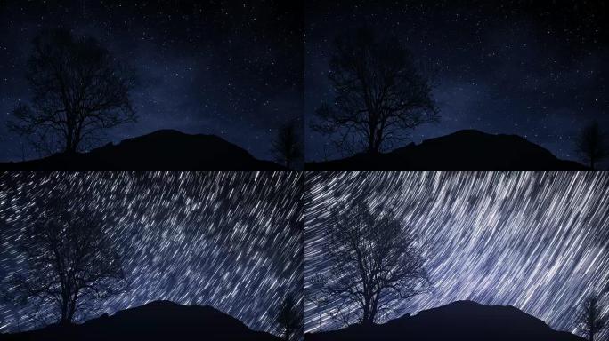 星夜的时光流逝，前景中有一棵树的阴影，并带有星状痕迹效果