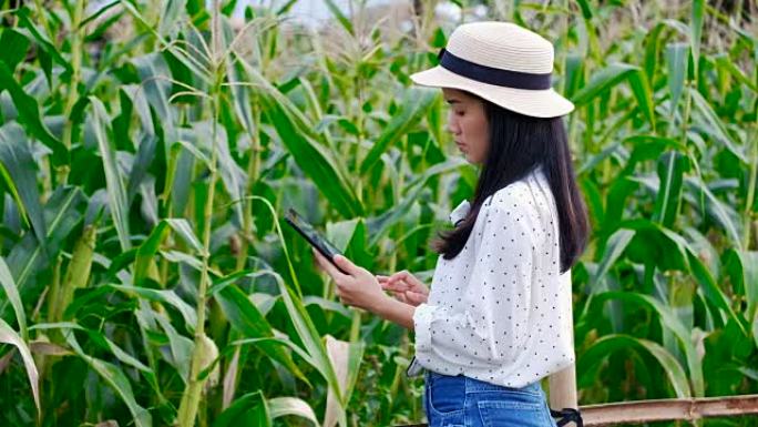 亚洲女农夫用数码平板电脑在田间、智慧农业及科技概念