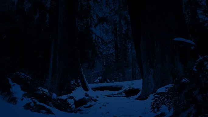 夜间穿越白雪皑皑的森林
