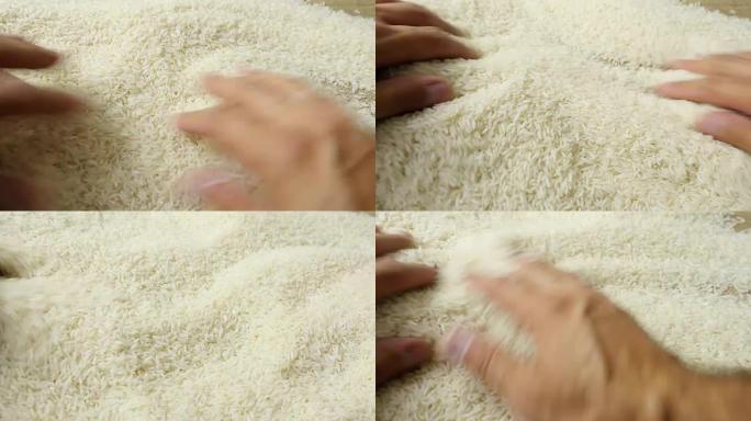 手里拿着米粒。