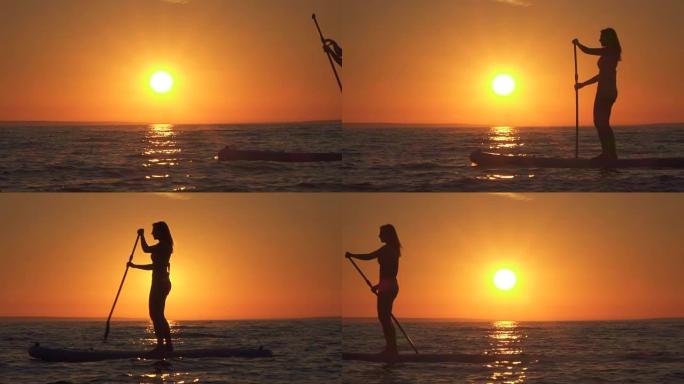 慢动作: 美丽的年轻女骑手在日落时站起来划桨冲浪