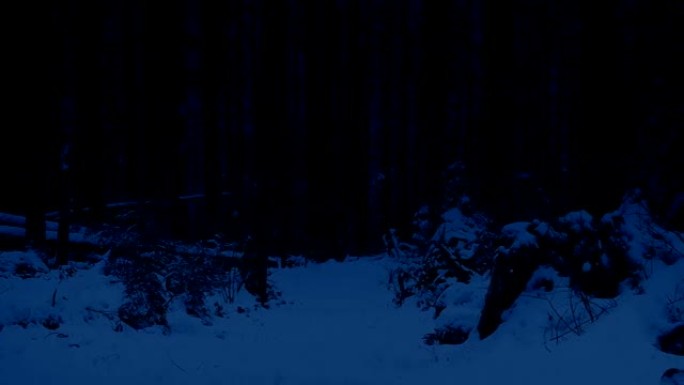 晚上穿过白雪皑皑的森林