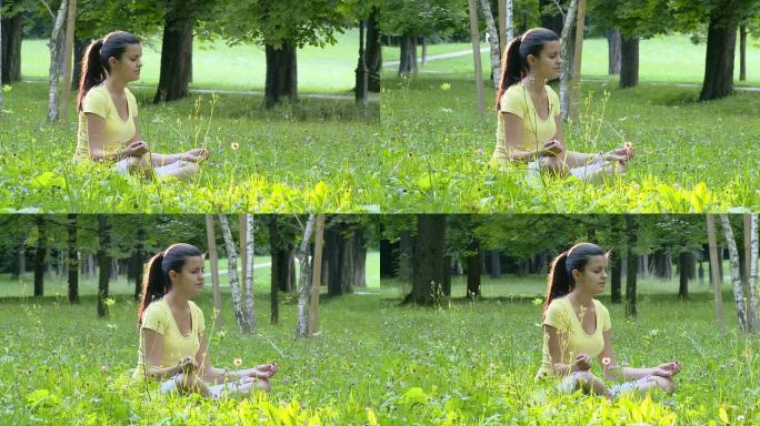 高清起重机: 冥想