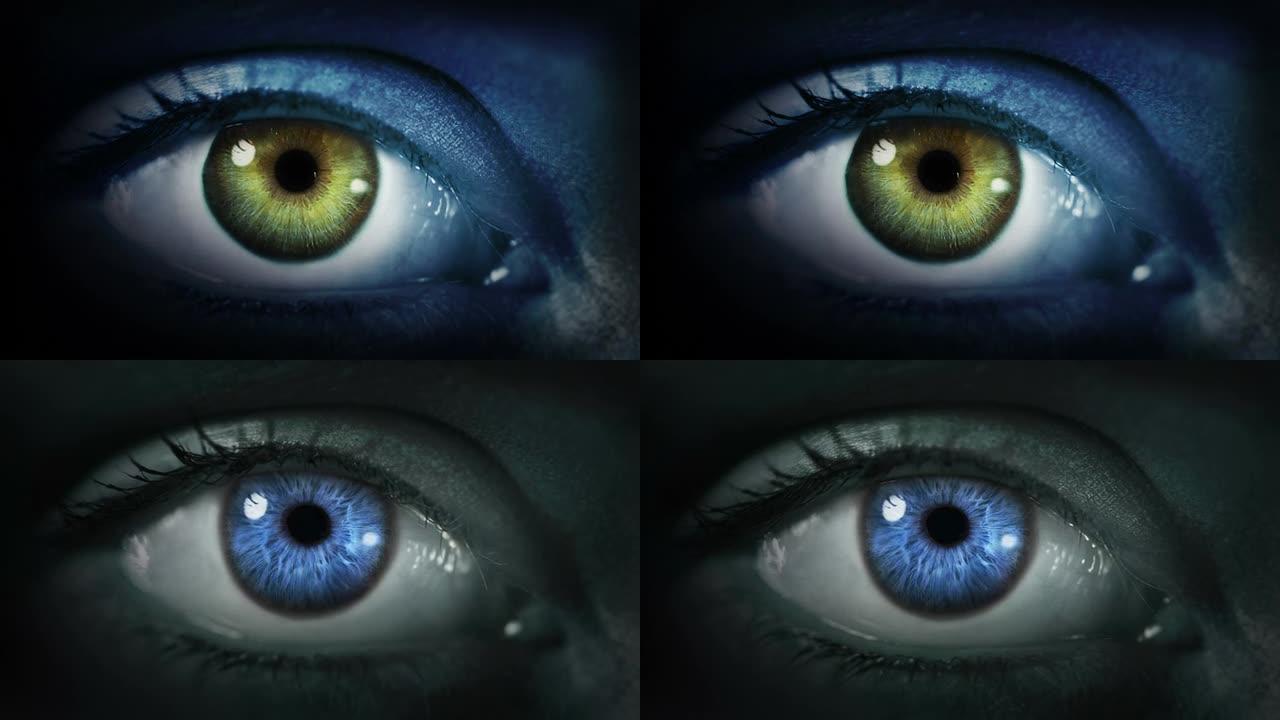 黑眼睛。蓝色和绿色。深灰色皮肤。可循环。