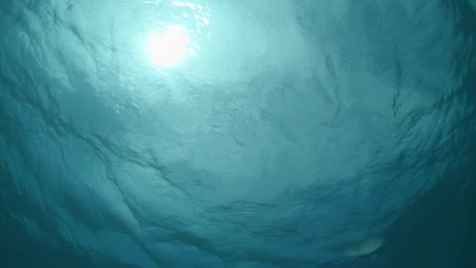 水下: 夏日明媚的阳光照亮宁静的翡翠色海洋。