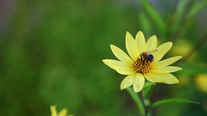 收获季节